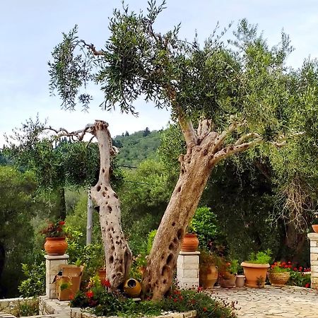 Villa Raxi Fountana 외부 사진