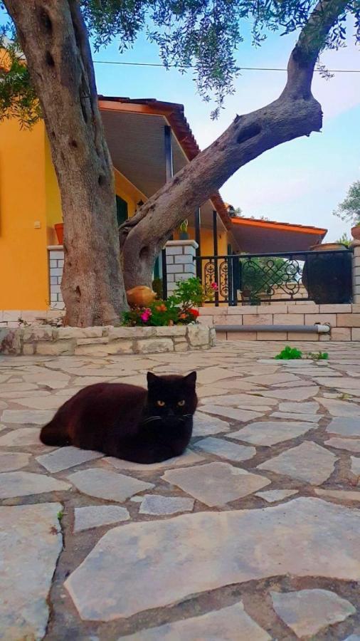 Villa Raxi Fountana 외부 사진