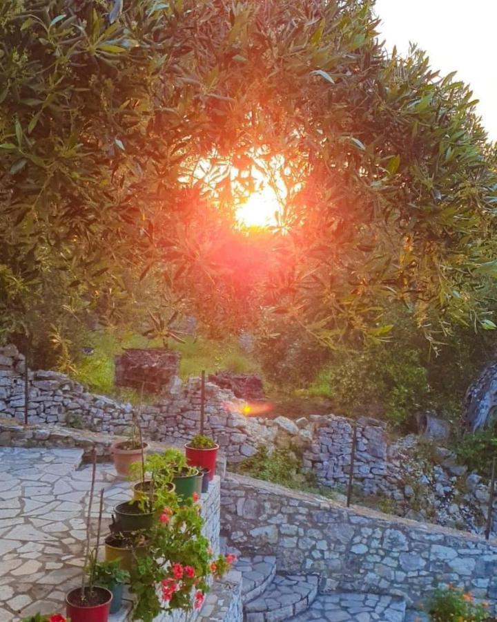 Villa Raxi Fountana 외부 사진